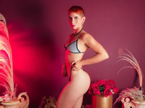 live sex model AliceBarry